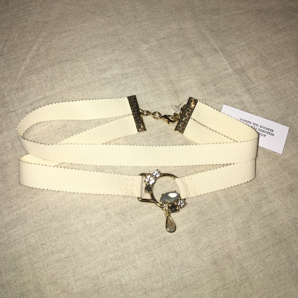 Baublebar ribbon choker necklace!